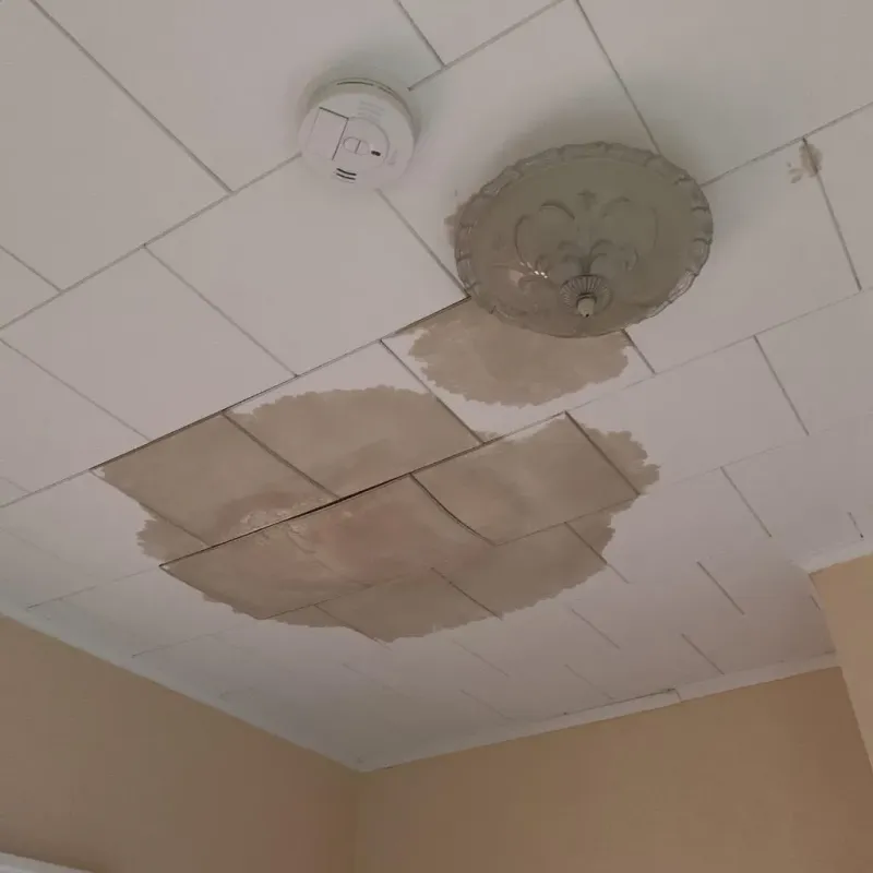 Ceiling Water Damage Repair in Plainview, MN